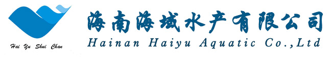 乐动在线登录